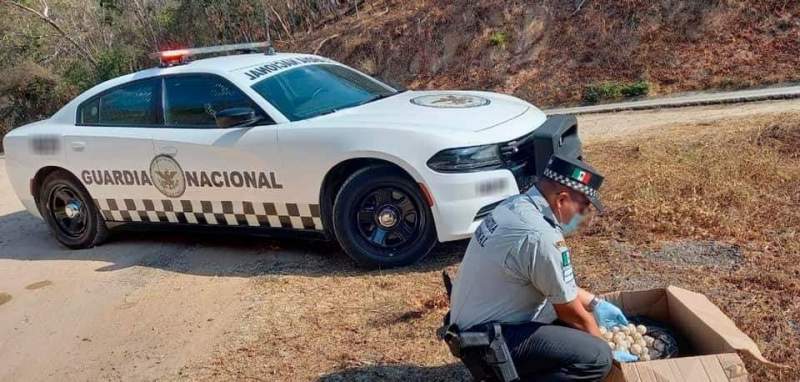 Aseguran en la Costa de Oaxaca 1,250 huevos de tortuga