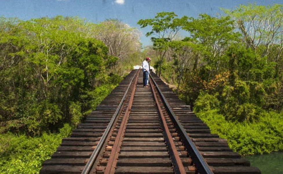  Devastará Tren Maya 7 millones de hectáreas en Oaxaca-Veracruz