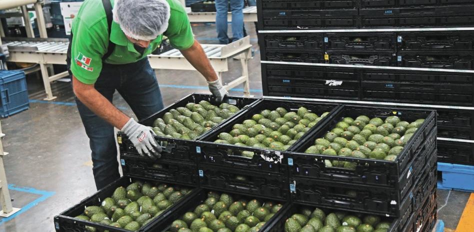México rebasa las exportaciones agroalimentarias de todo 2021
