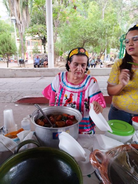  Diversidad étnica protagoniza nuevas placas de circulación en Oaxaca; distribuyen 70 mil