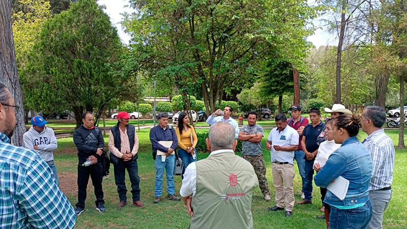 Destinan Cofom y Conafor 1.6 mdp para conservación de bosques