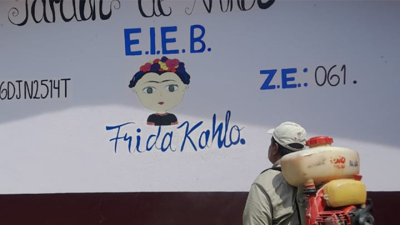 Michoacán, sin registro de brote por chinches: SSM