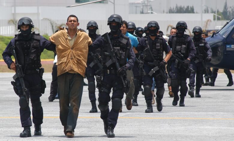  Operan los cárteles ‘sin fronteras’ en AL